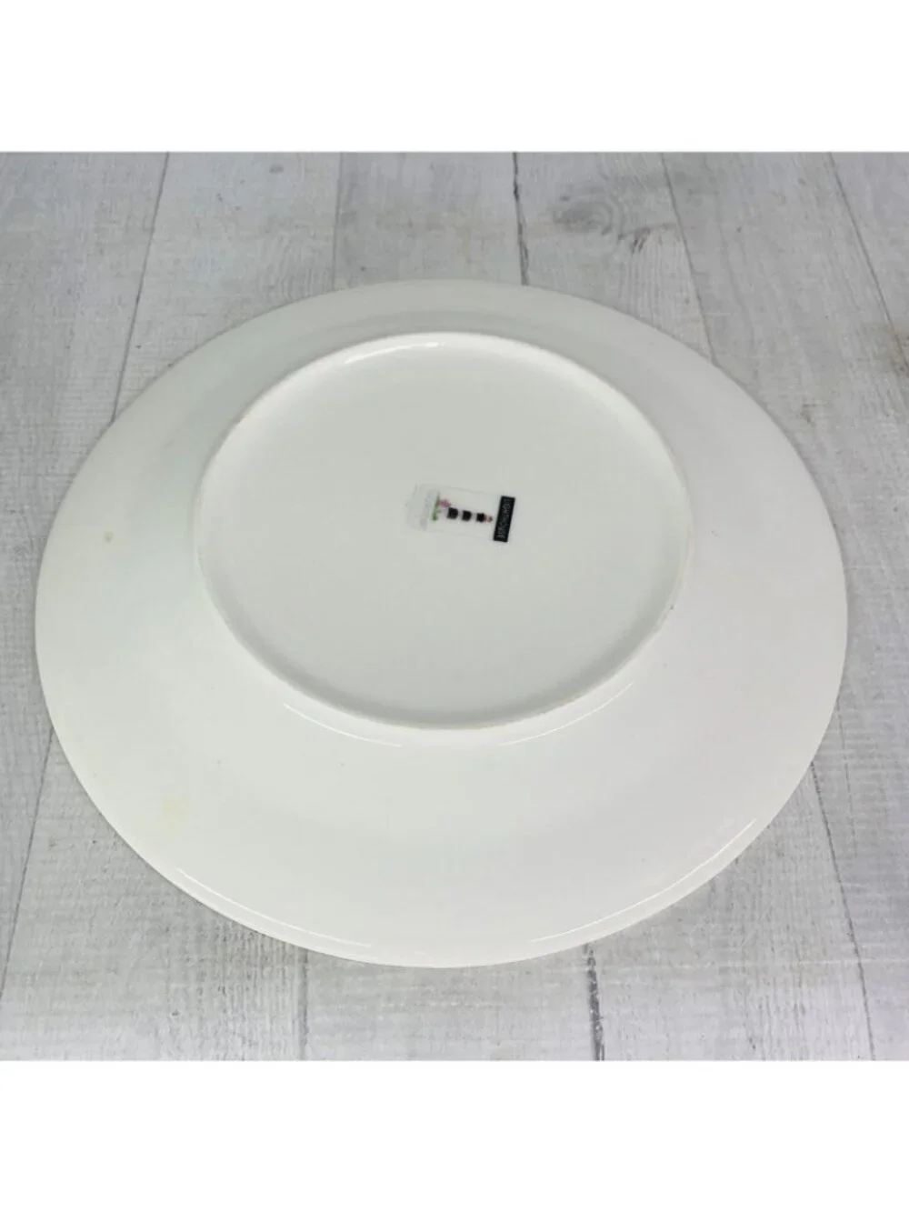 Thomson Pottery LIGHTHOUSE Birds Boats Coastal Stoneware Dinner Plates Set of 4